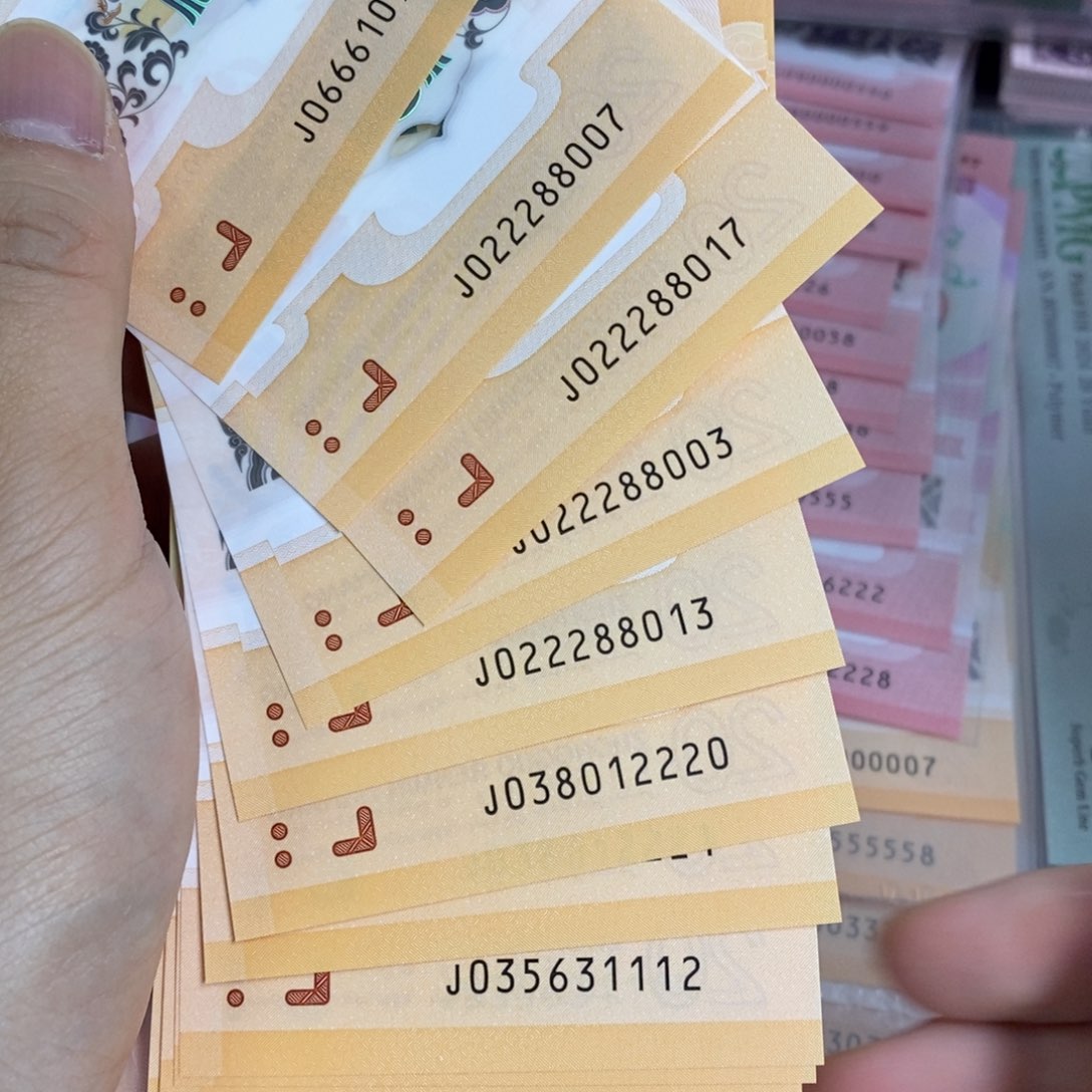 塑料随*龙钞豹子身13张。。。。。。。。。