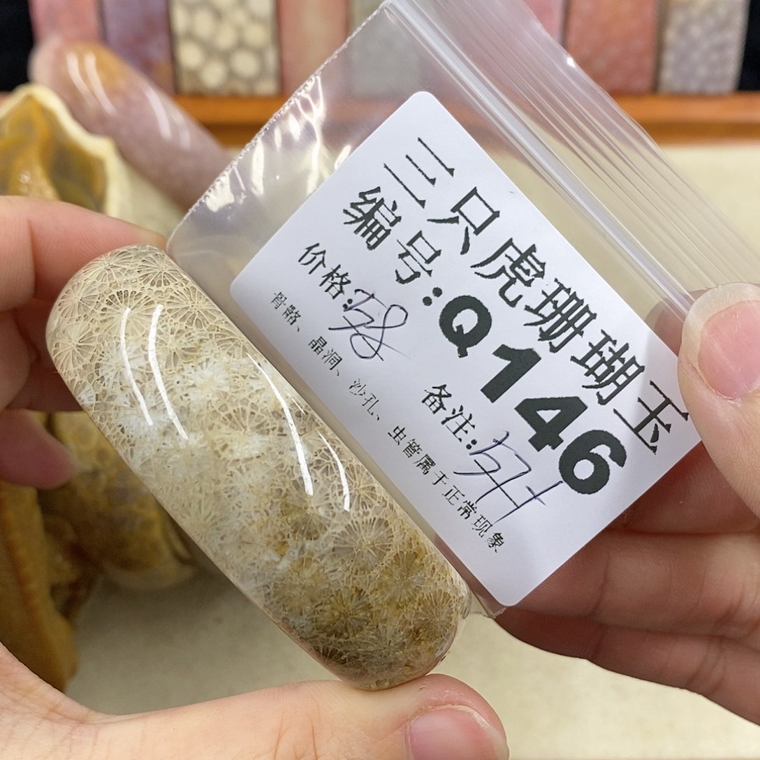 硅化珊瑚（珊瑚玉）1未镶嵌沙**儿