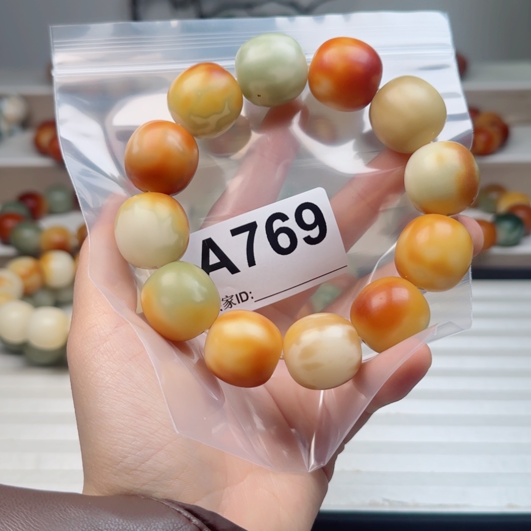 吊坠菩提根/象牙果菩提2.17