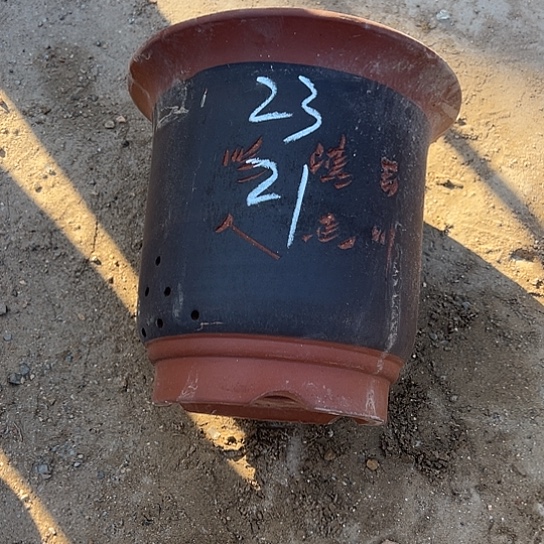 紫砂工艺厂……紫砂工艺厂……