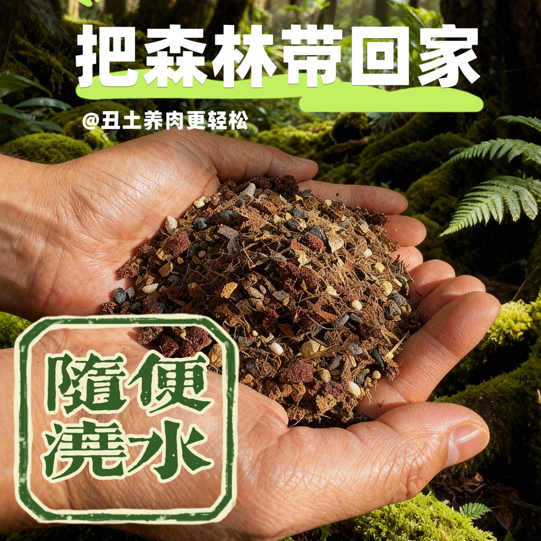 随便浇水，不板结！多肉特配丑土多肉上色控型土糖心果冻色多肉必备