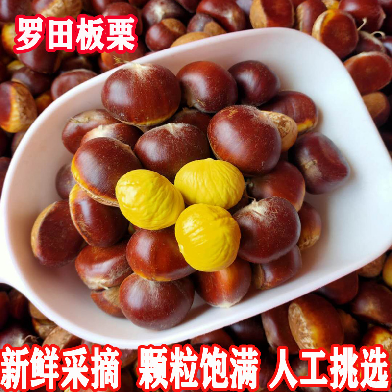  2025罗田板栗生新鲜毛栗子带壳板栗湖北农家现摘红壳油板栗即食