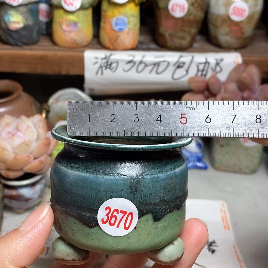 红陶拍5送一个小