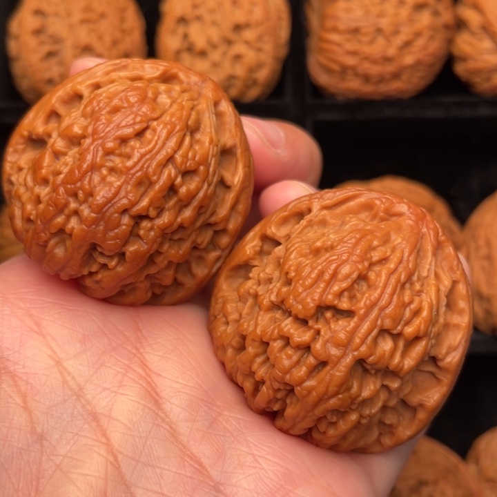 秦岭野生文玩核桃