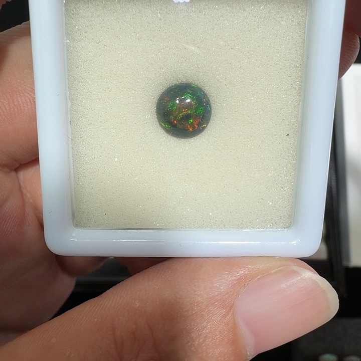 杨***木欧泊未镶嵌天然天然欧伯石