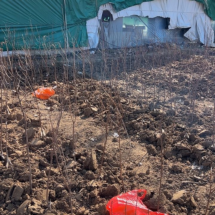 完全开放一物一拍