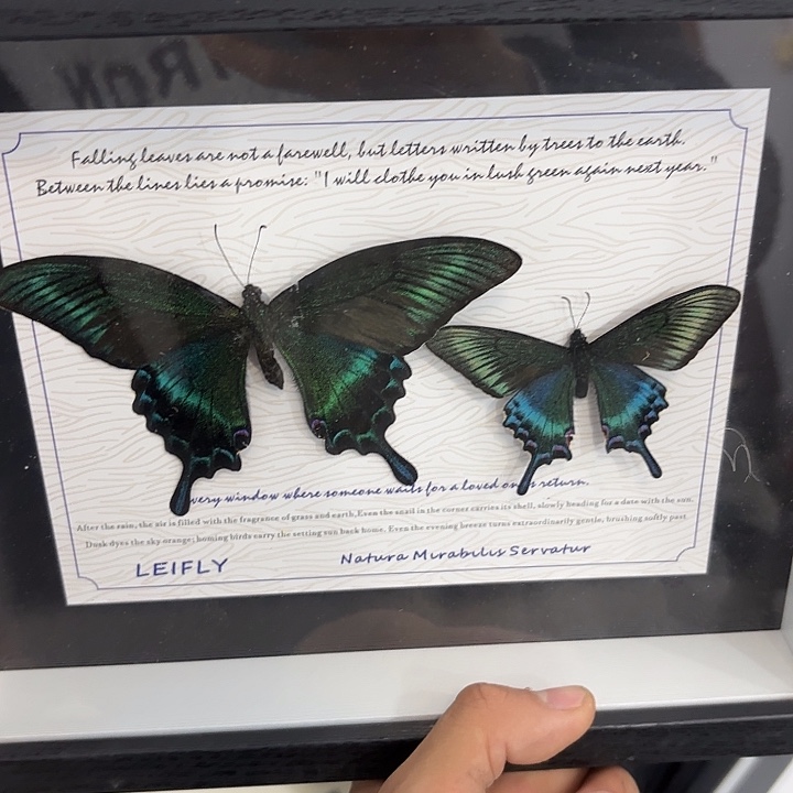 十寸新背景绿带春夏