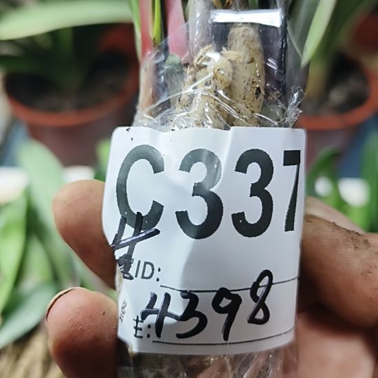 甘***甘完全开放0000000000