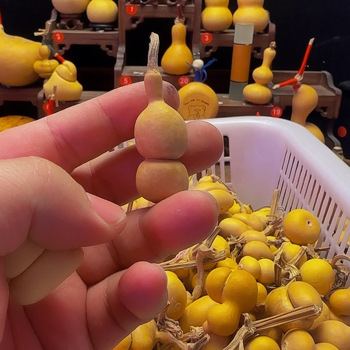 易*你也不会因为自己想了