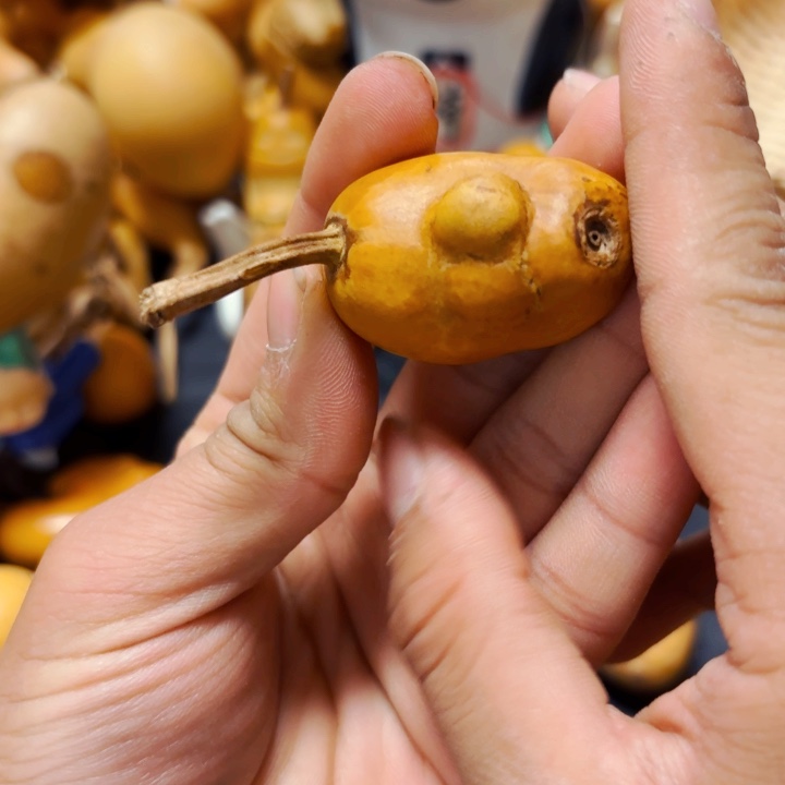 *️****888888888888888888888