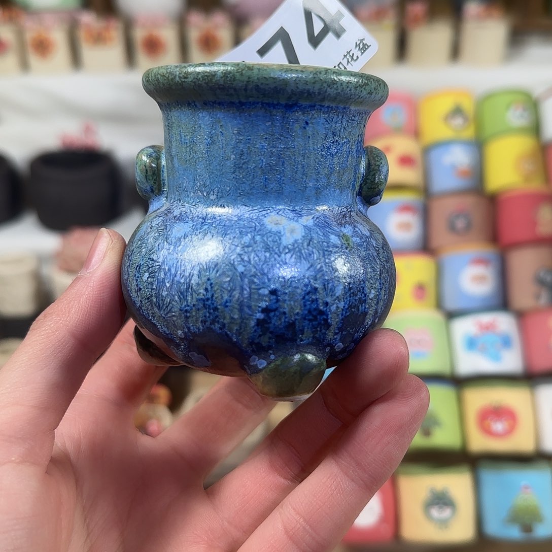 174 口5  默认微瑕 花盆 