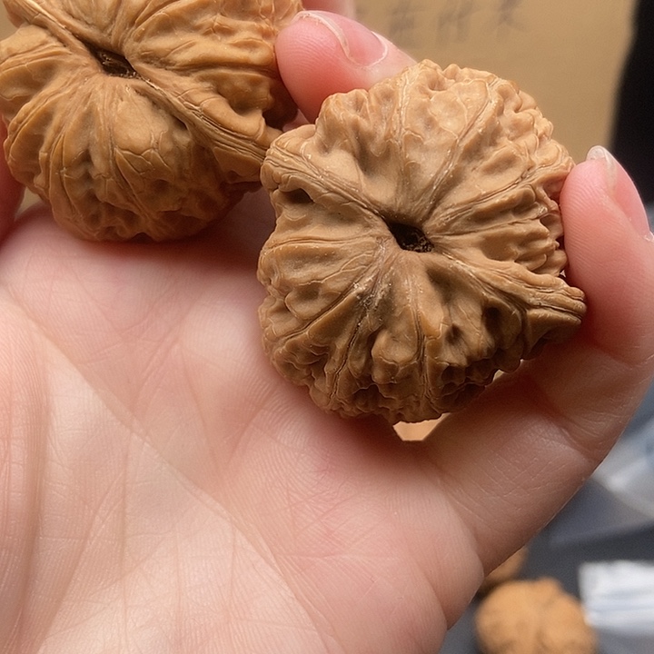 对***琴大大大大大大元宝有黄