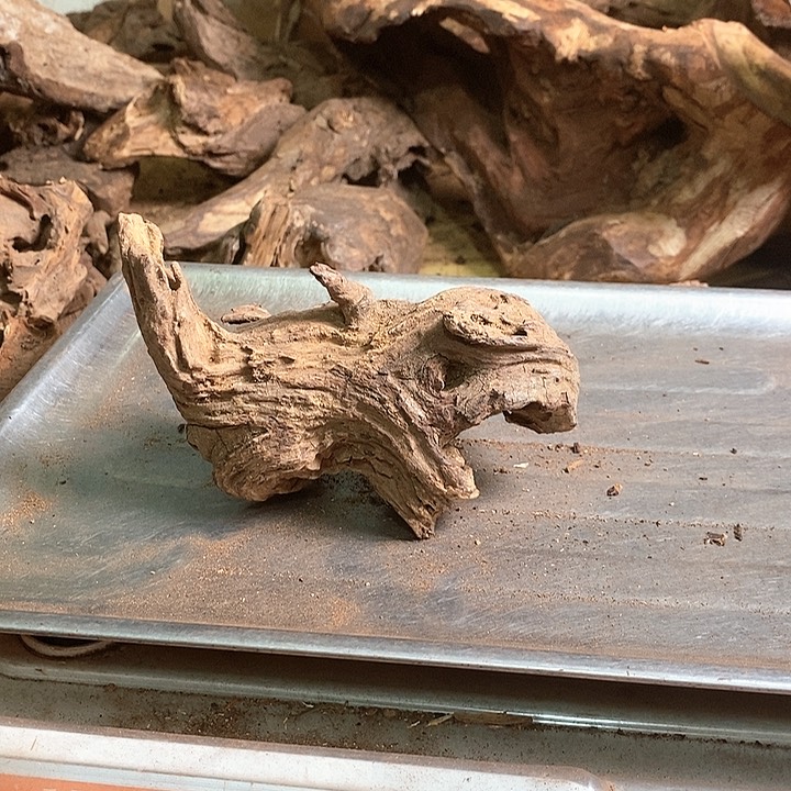 花梨木类中*心海南黄油梨