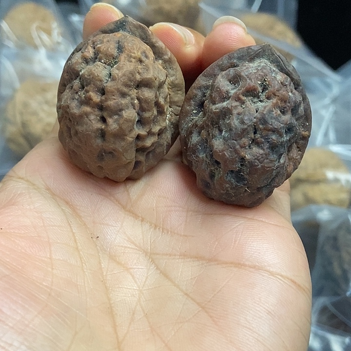 文玩核桃把件云南铁核桃基地3