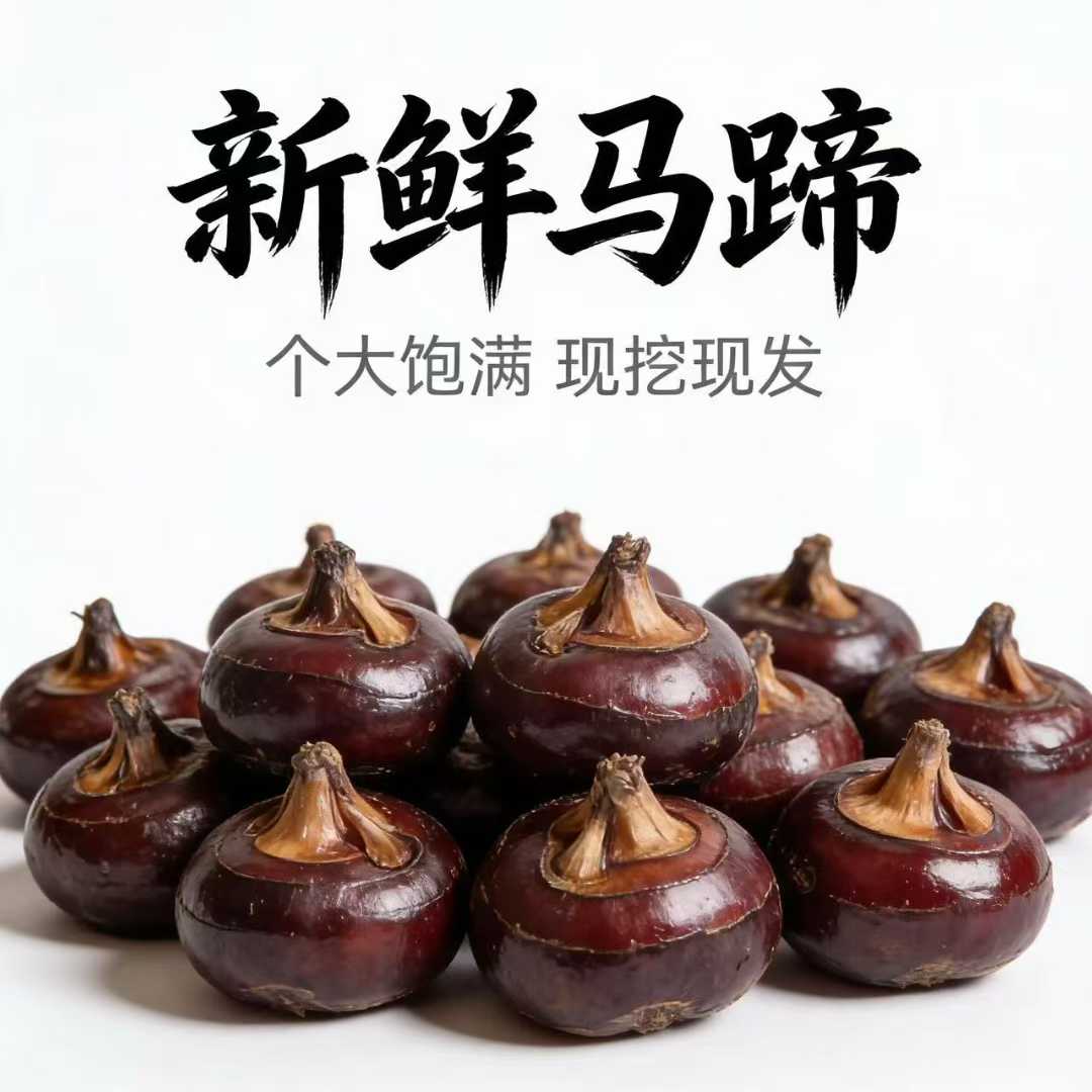 正宗韶关顿岗马蹄新鲜水果现挖带泥荸荠清甜脆爽送礼佳品