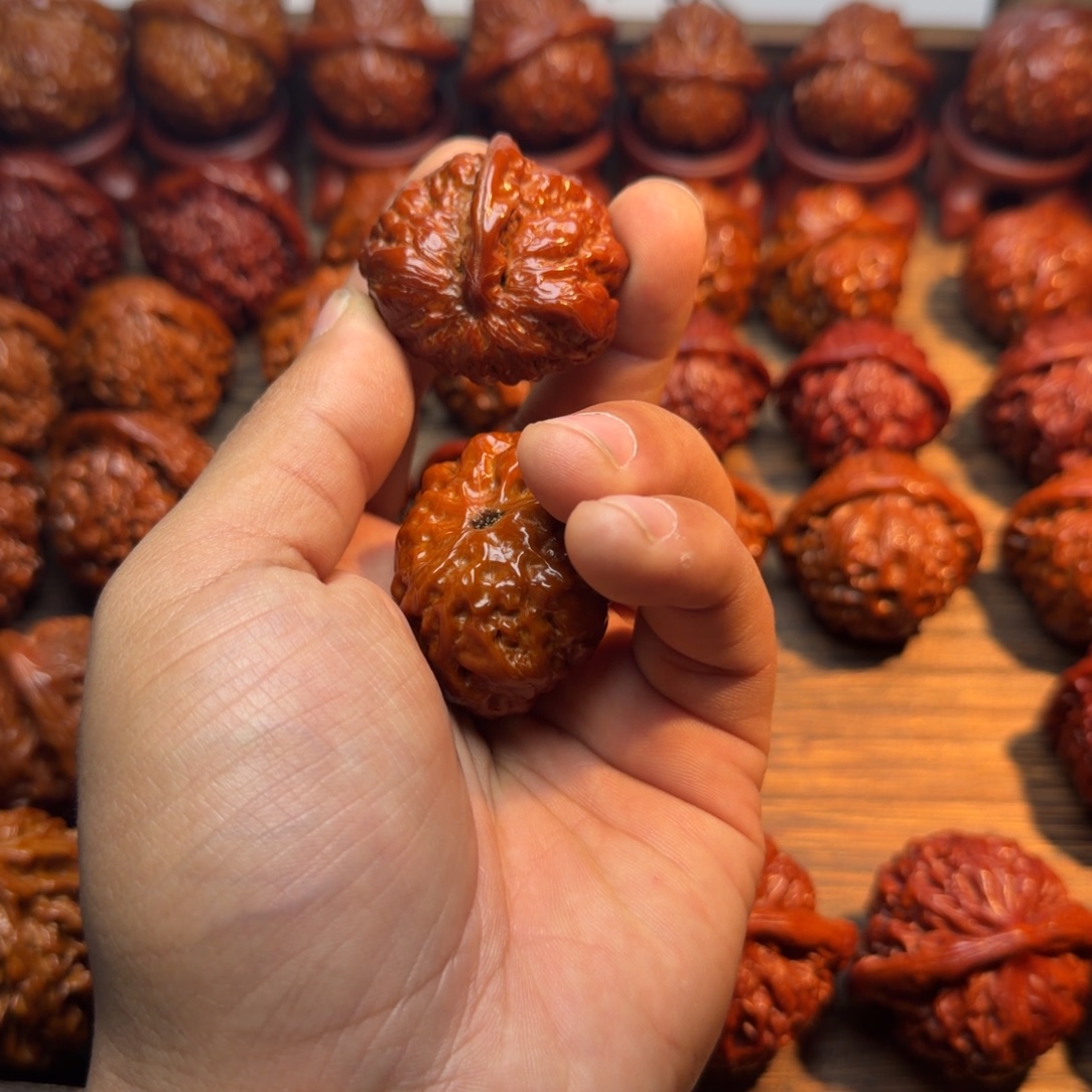 菩提籽类一帆风顺宝贝