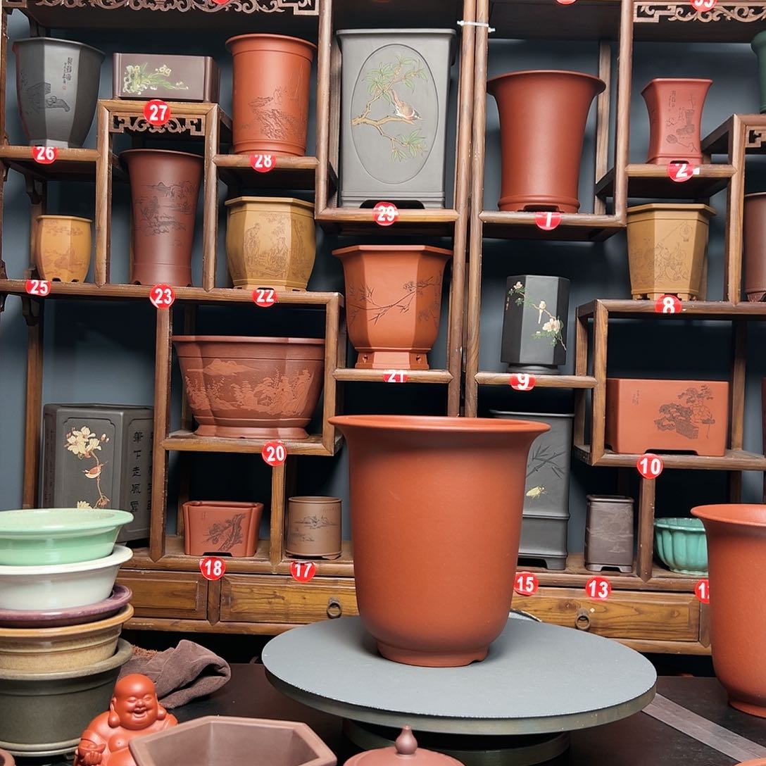 紫砂花盆土*大红袍金钟