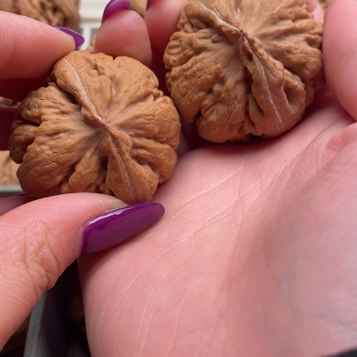 庐***自手串文玩核桃霸王龙