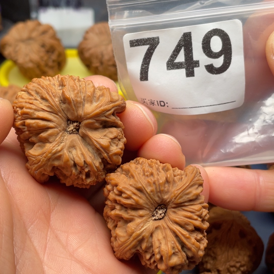 文玩核桃把件南疆凹底天残38