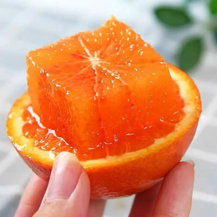 【带箱9-10斤】血橙正宗四川塔科罗血橙新鲜采摘皮薄多汁自然生长