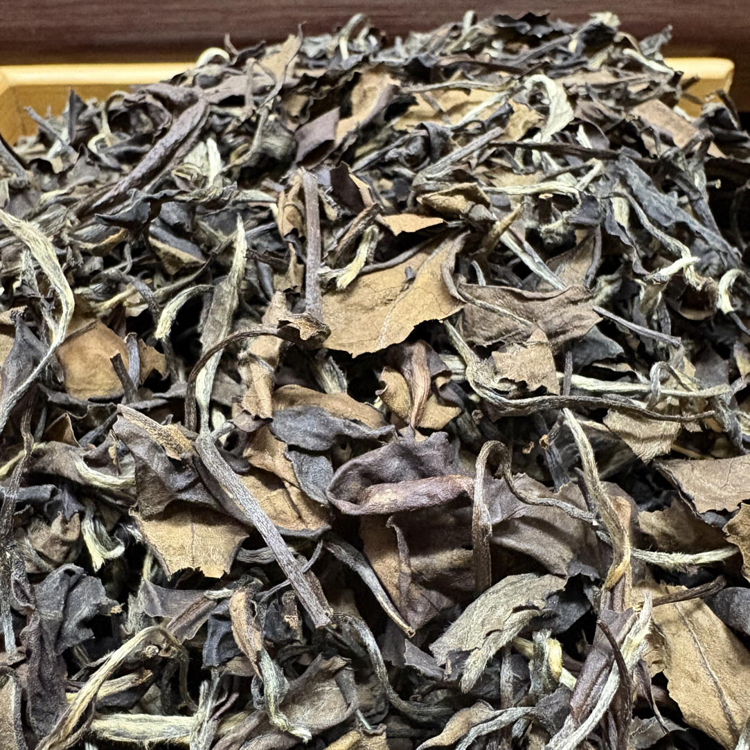 2009年老白茶福鼎白茶寿眉高山磻溪散茶