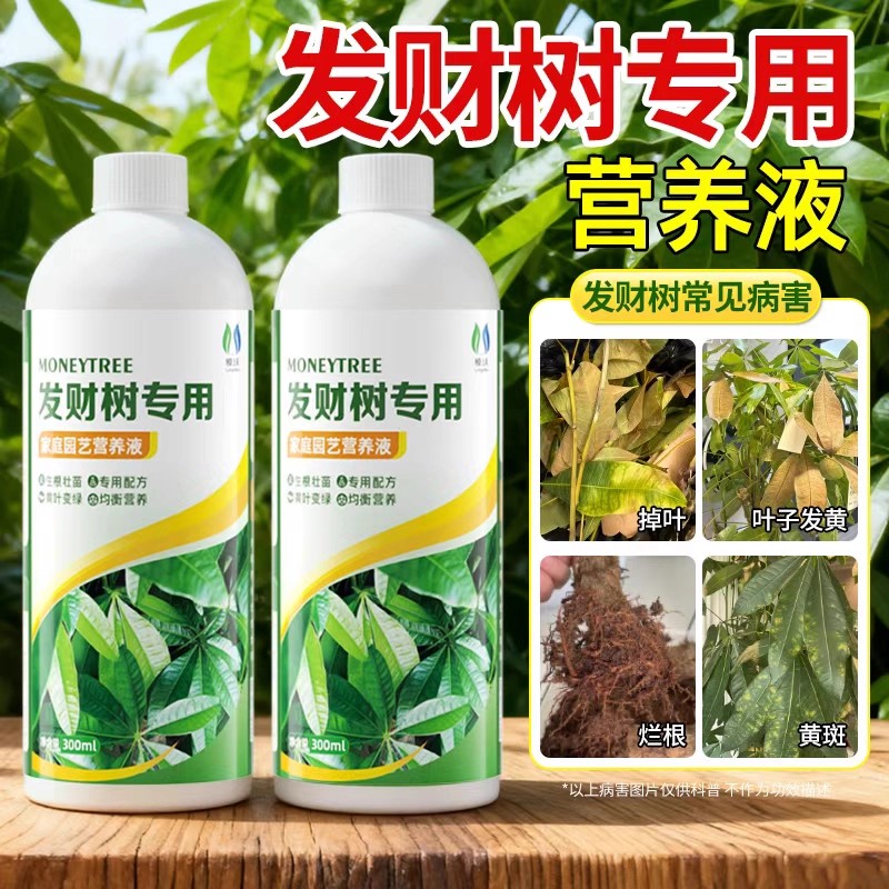 发财树专用营养液黄叶烂根专用药水培植物肥料专用肥室内盆栽通用商品图
