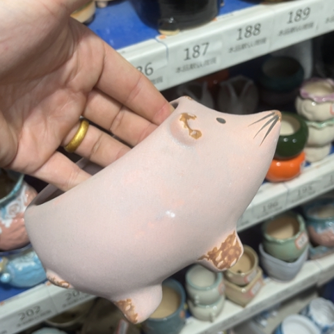 ［所有订单凑满15包邮］