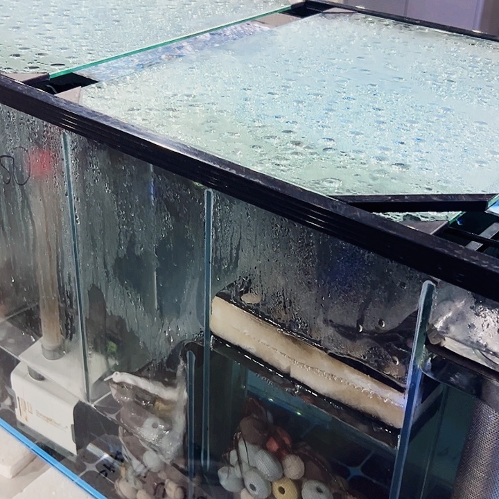 浩***玻璃100.50.50背双鱼马桶全套淄博