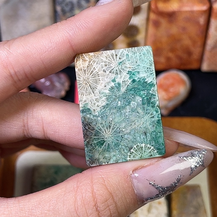 硅化珊瑚（珊瑚玉）珠宝金石合金栀*欣