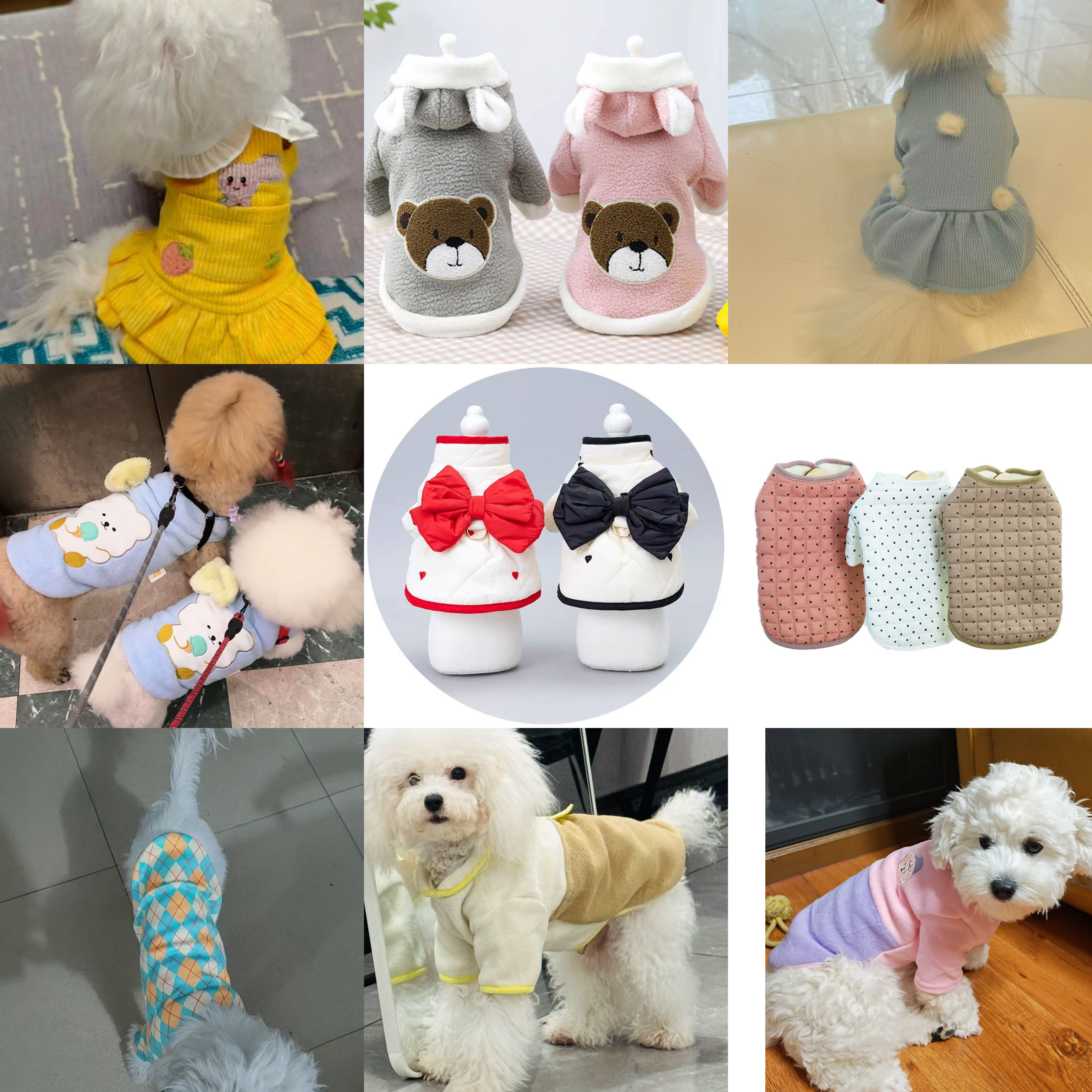 601-800宠物享专过款衣服直播