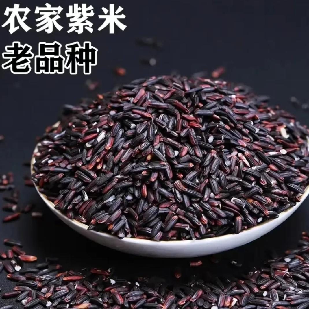 贵州黎平特产老品种紫糯米贵州高山梯田种植胭脂紫糯米血糯米
