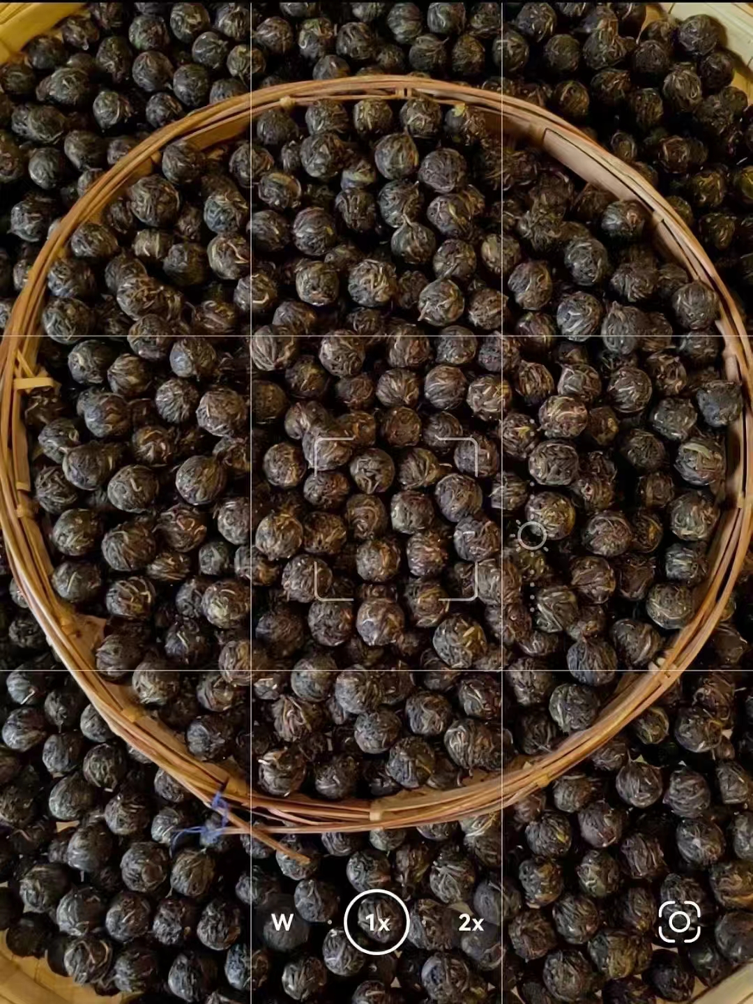 普洱茶景迈龙珠2颗16克