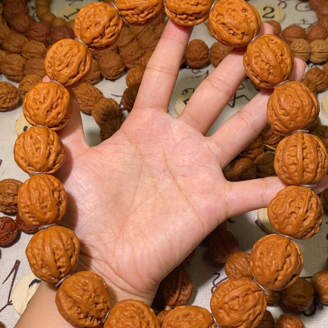 蜡皮佛肚粗筋手持