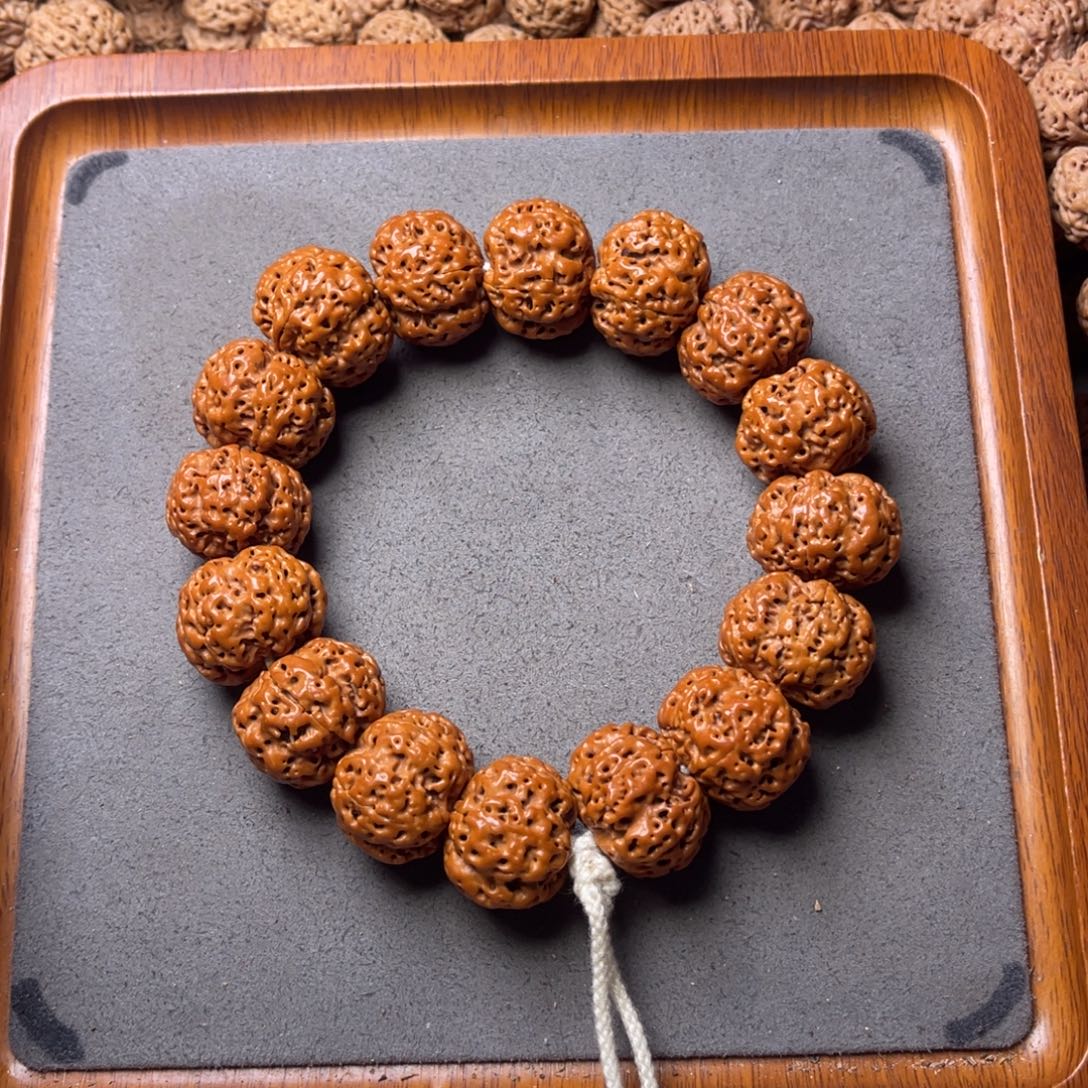 菩提籽类4号金刚菩提满肉蜂窝23