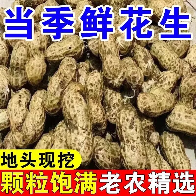 现挖现发农家自种新鲜带壳湿花生可生吃水煮
