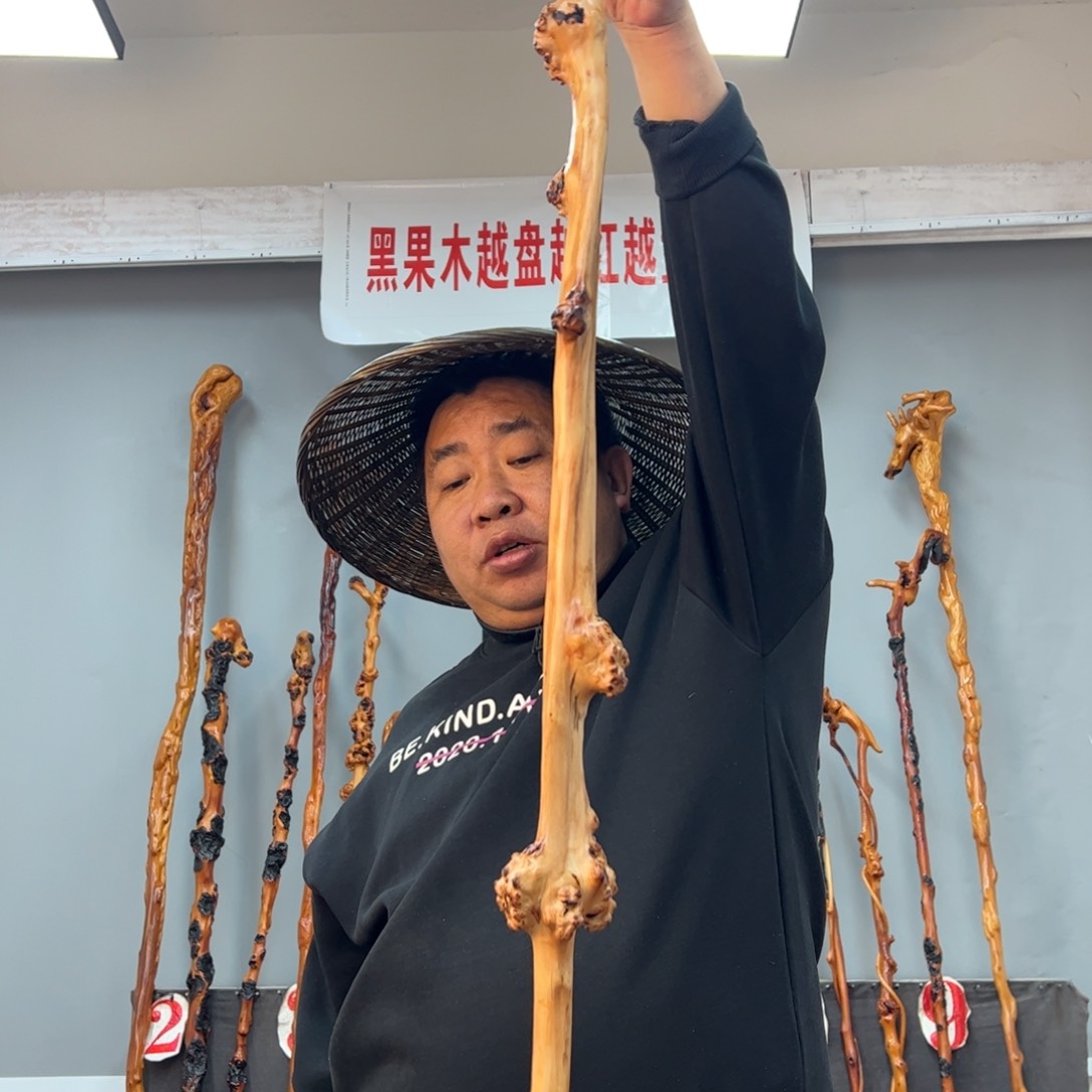 黑果木其他土*黑果木309