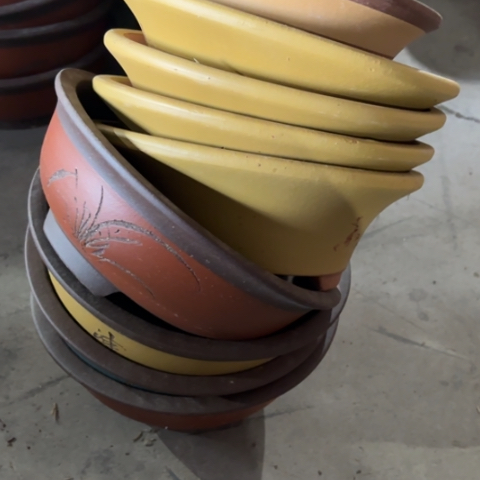 X***生100- 9。  组合。    