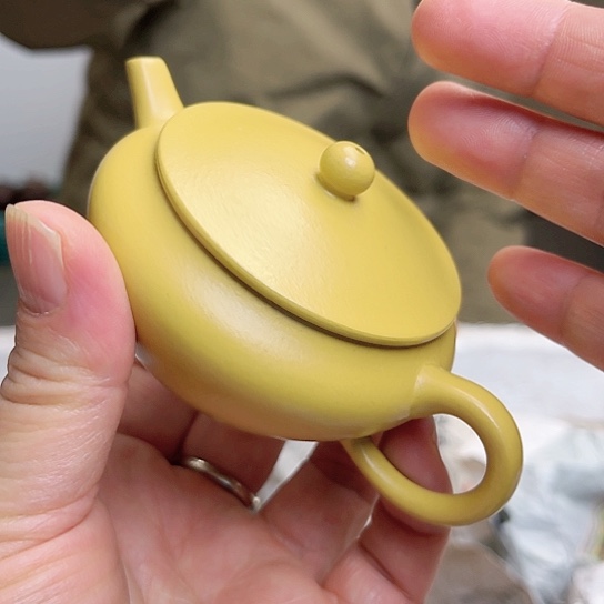 紫砂茶壶今天不知道