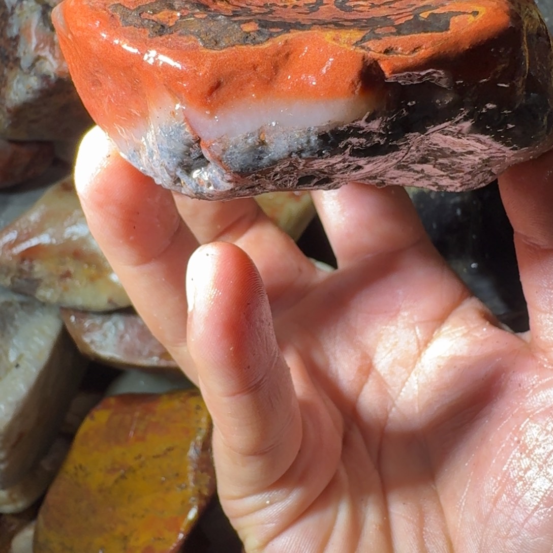 轰****寿山石8998889989889