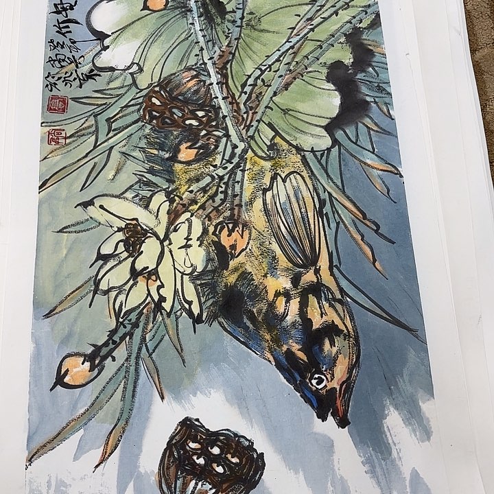 国画冰****莲花鸟等多种鸟类的栖息地和栖息环境