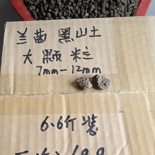 阿***炜兰菌黑山土大颗粒6.6斤