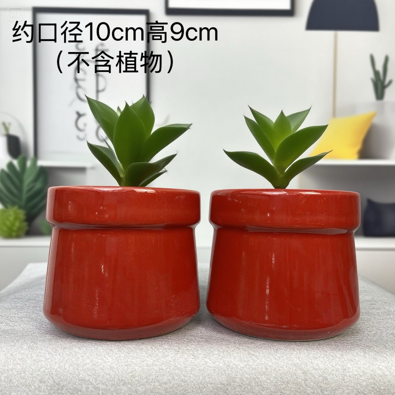 红色小号多肉花盆喜庆简约组合盆玫瑰无孔盆景