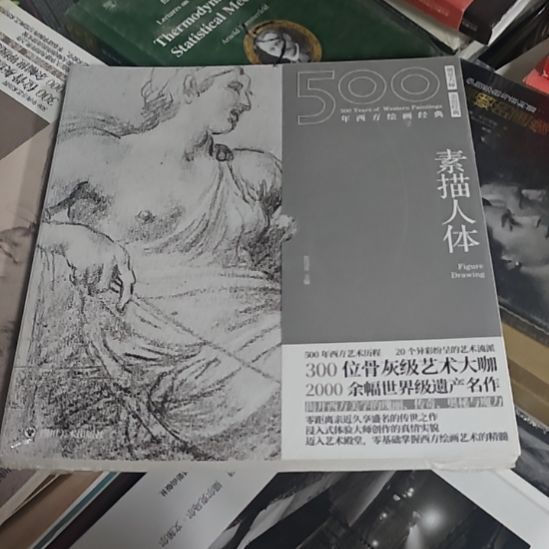 素描人体500年西方绘画经典。