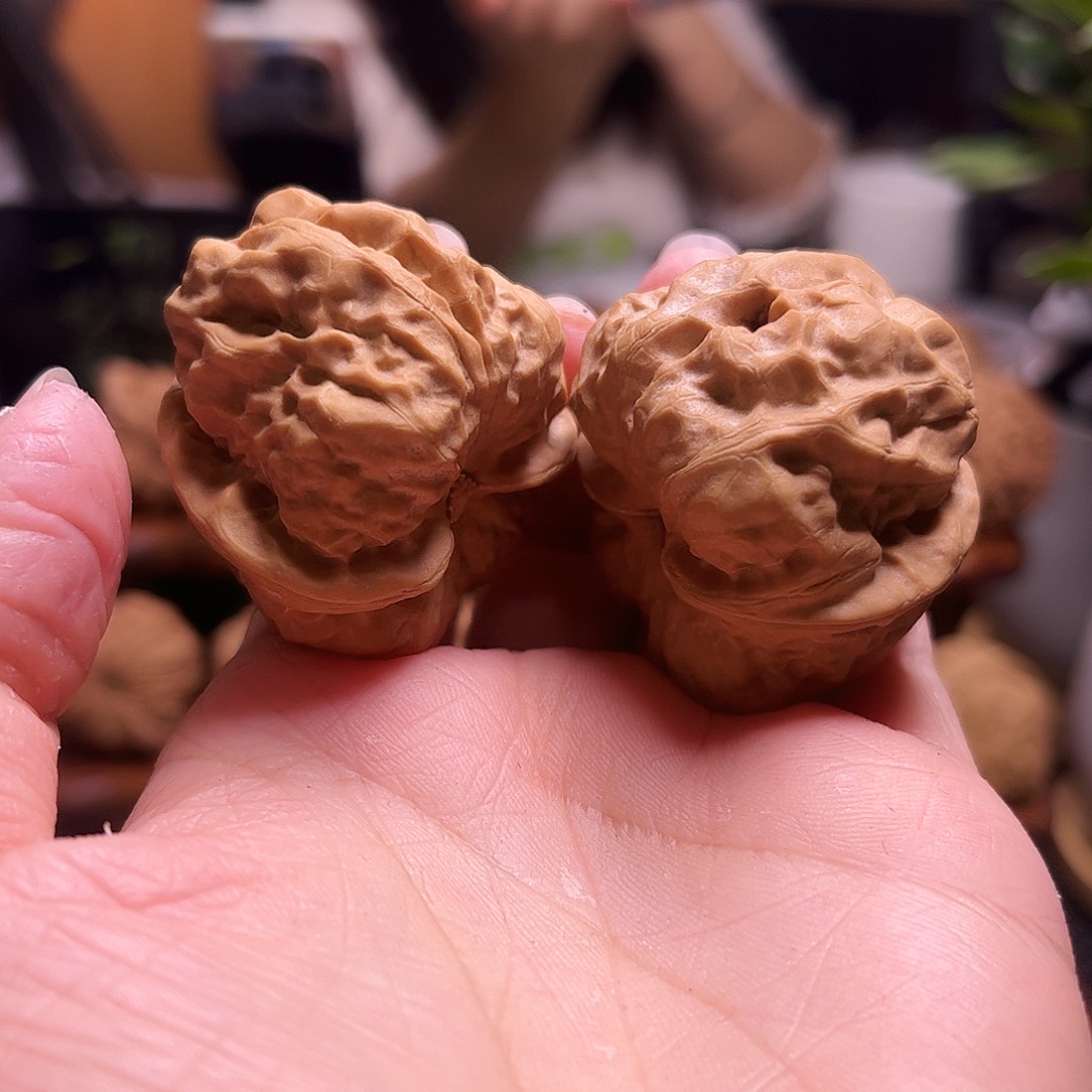 L***Y把件文玩核桃40尺白茬蛤蟆72