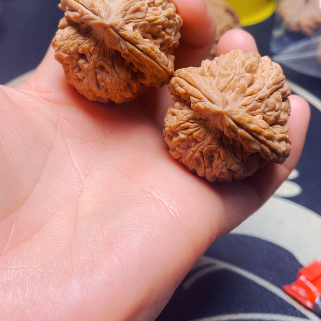 文玩核桃把件粗筋蚂蚁王