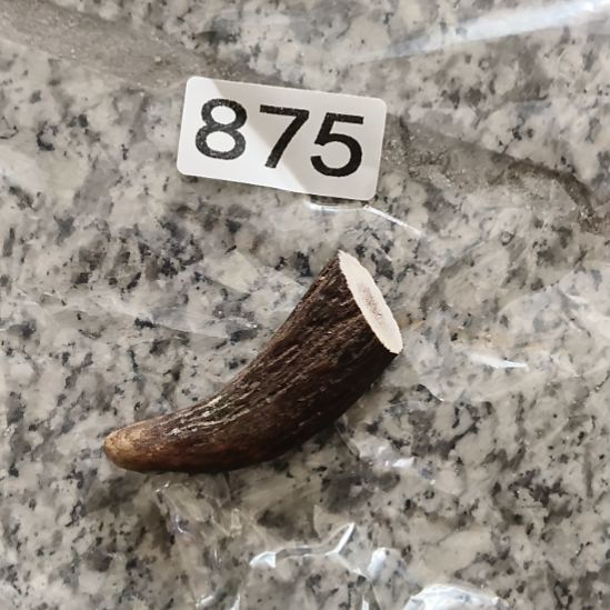 文***千鹿角鹿角鹿角鹿角鹿角鹿角