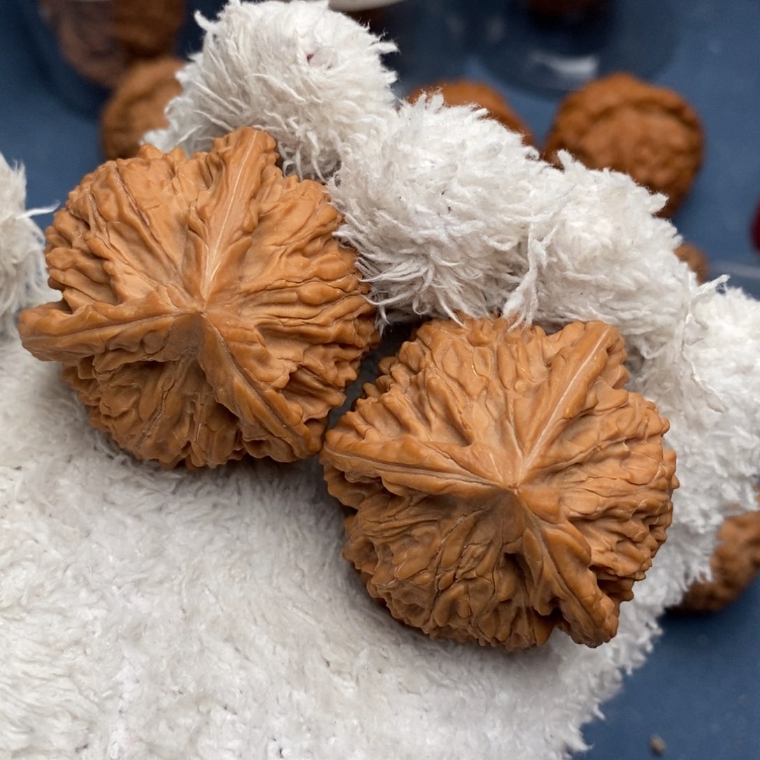 文玩核桃把件正奔三棱全品