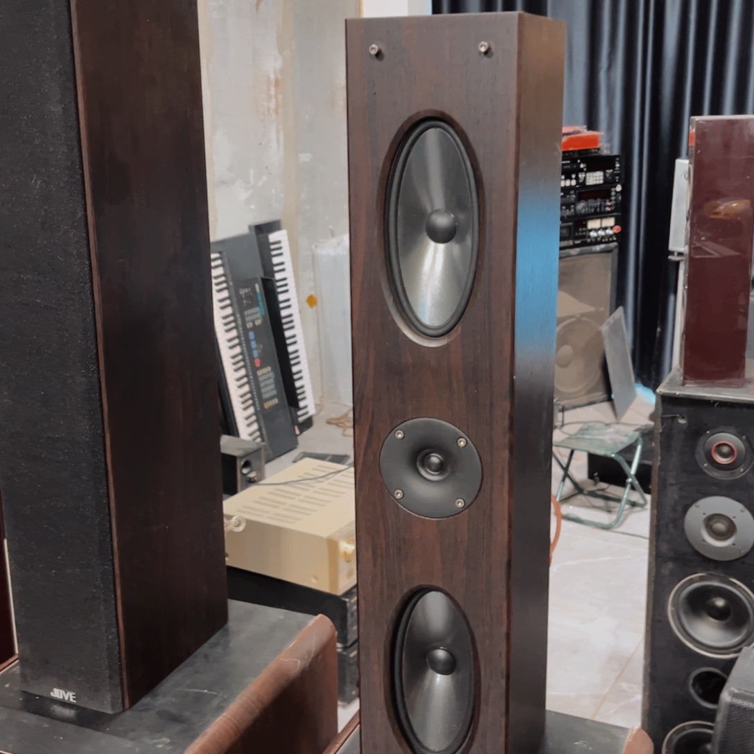 8新尊威Cav 环绕一对包邮