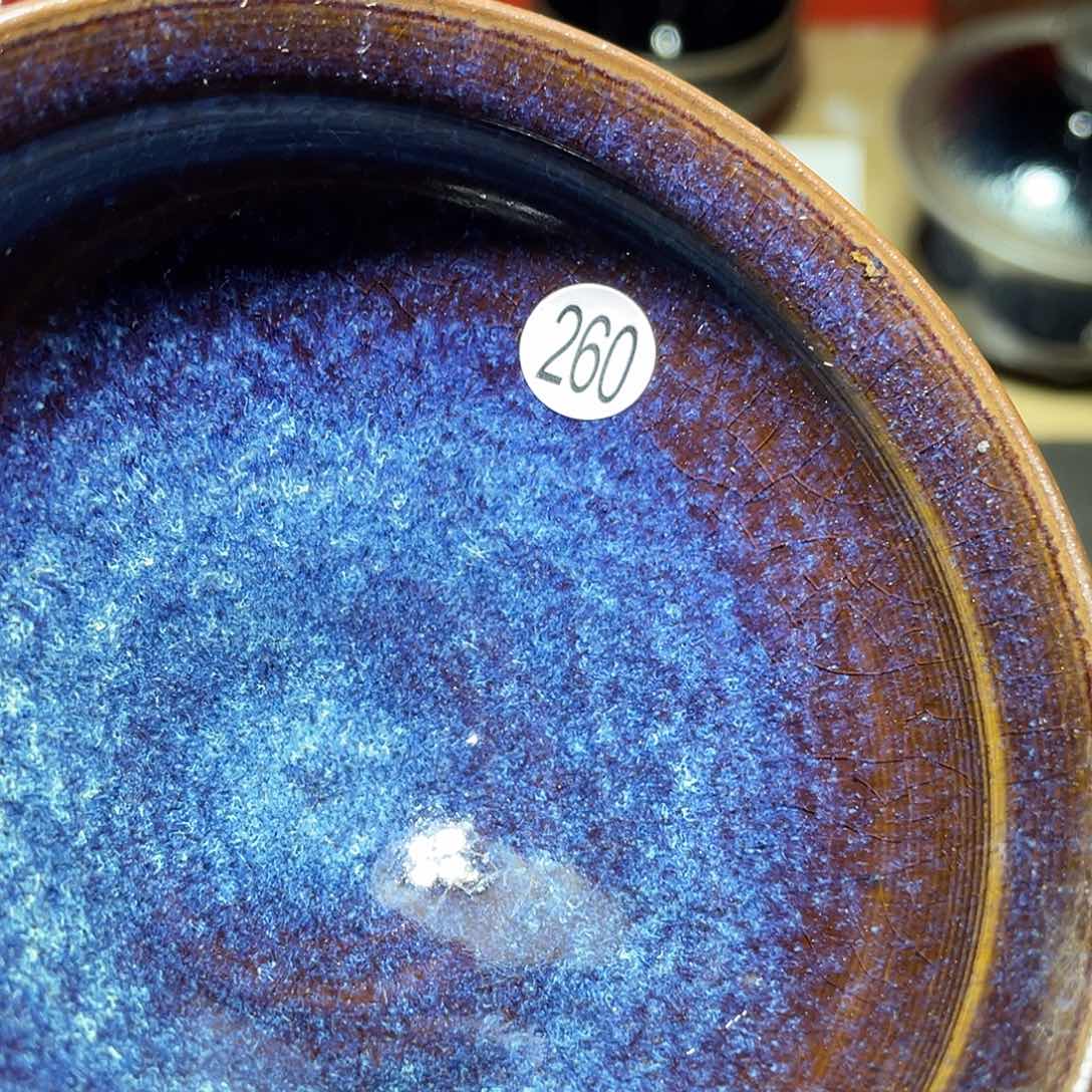 茶盏66666666666666666
