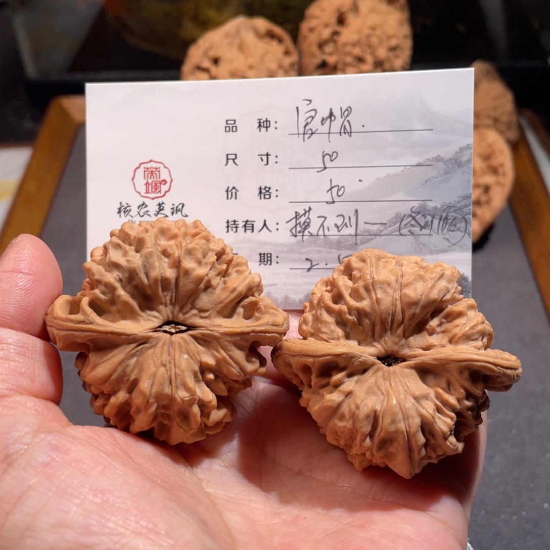 文玩核桃吊坠摸****）50官帽